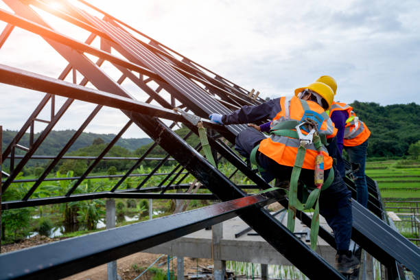 Best Roof Gutter Cleaning  in Dermott, AR